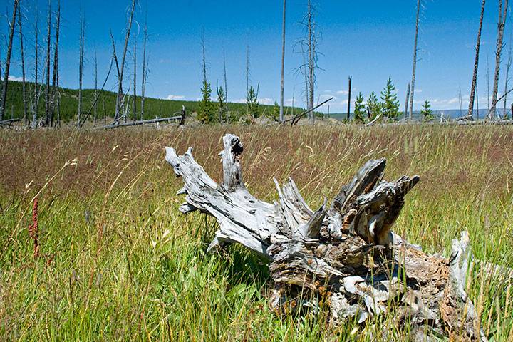 Grand Prismatic